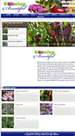 Mobile Screenshot of bloomingandbeautiful.com
