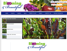 Tablet Screenshot of bloomingandbeautiful.com